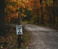 Drive Smarter, Not Harder: Expert Tips for Australian Drivers: Road to Woods with Road Sign