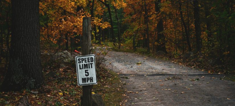 Drive Smarter, Not Harder: Expert Tips for Australian Drivers: Road to Woods with Road Sign